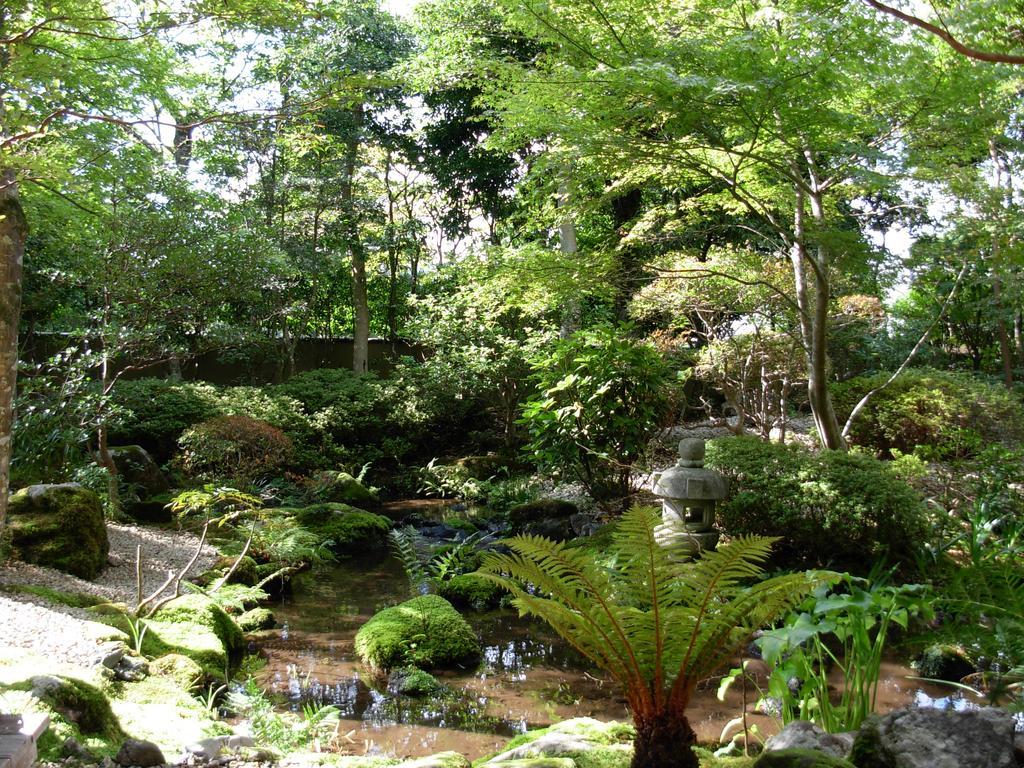 Yoshimatsu Hakone